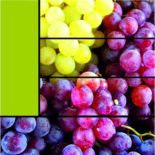 Vieilles Vignes 2018 -Magnum